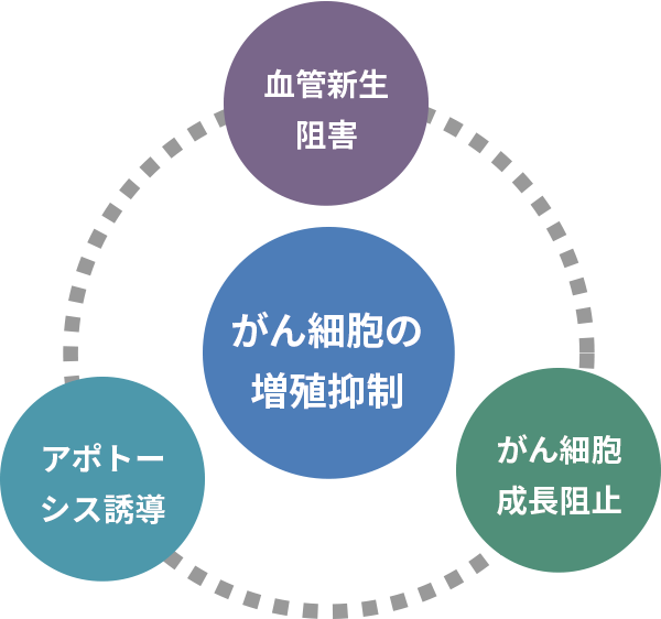 がん細胞の増殖抑制,血管新生阻害,アポトーシス誘導,がん細胞成長阻止