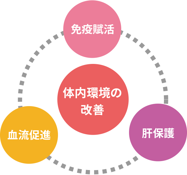 体内環境の改善,免疫賦活,血流促進,肝保護