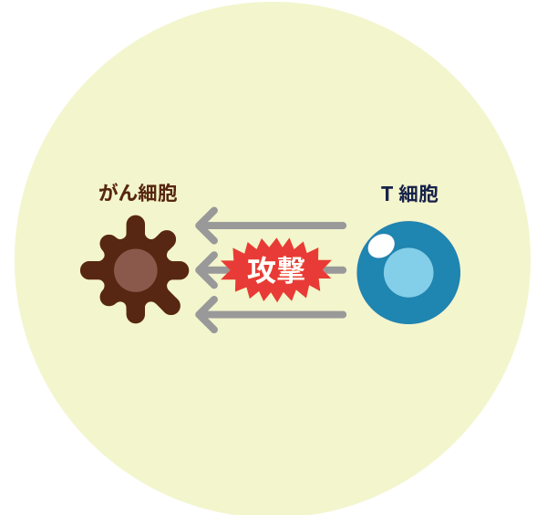 免疫力が強いとがん細胞を排除