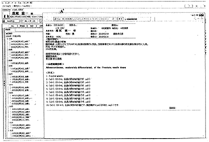 症状の治療経過および検査結果