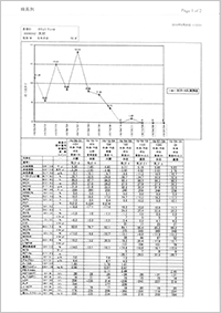 検査結果報告書02
